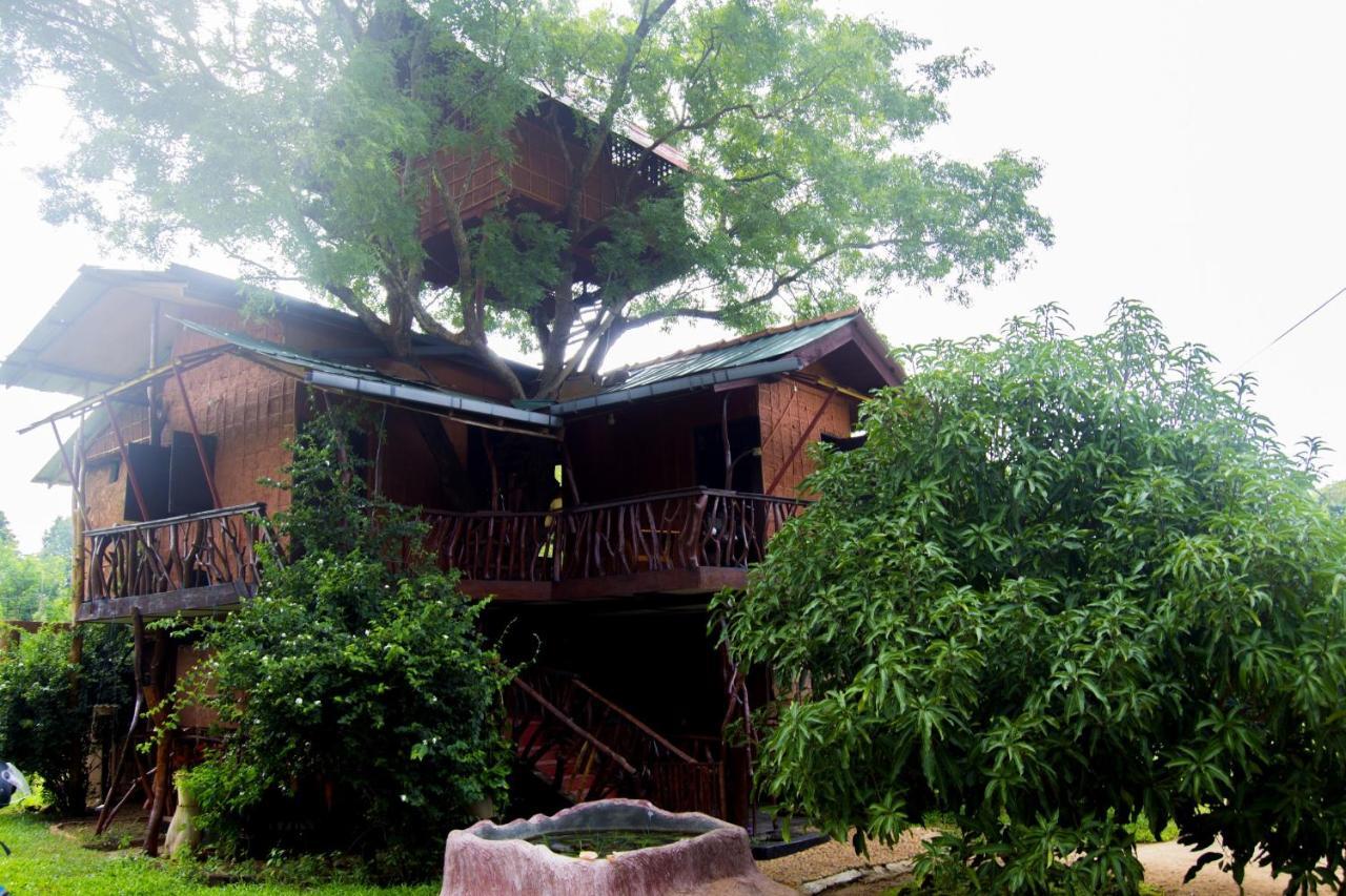 Anushka Nera Nature House Sigiriya Camera foto